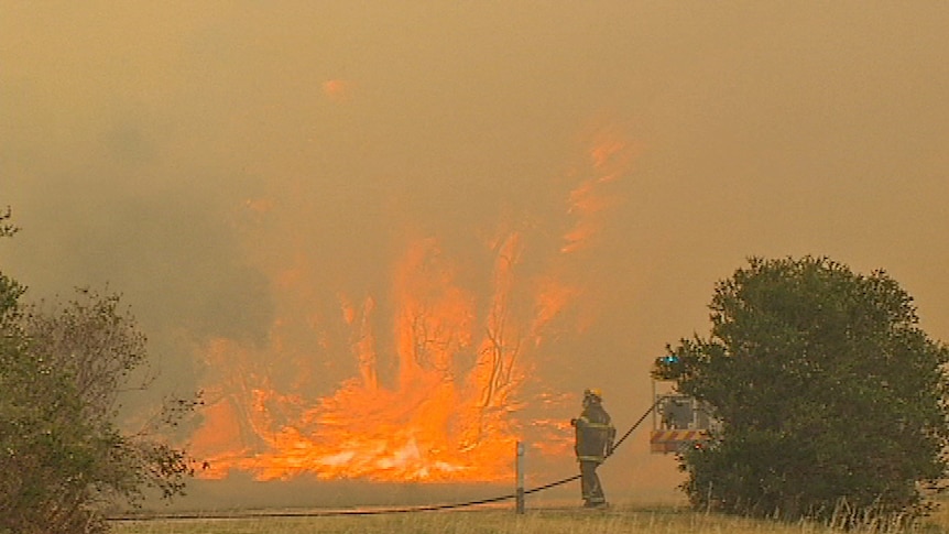 A WA firefighter with hose next to bush fights flaring flames