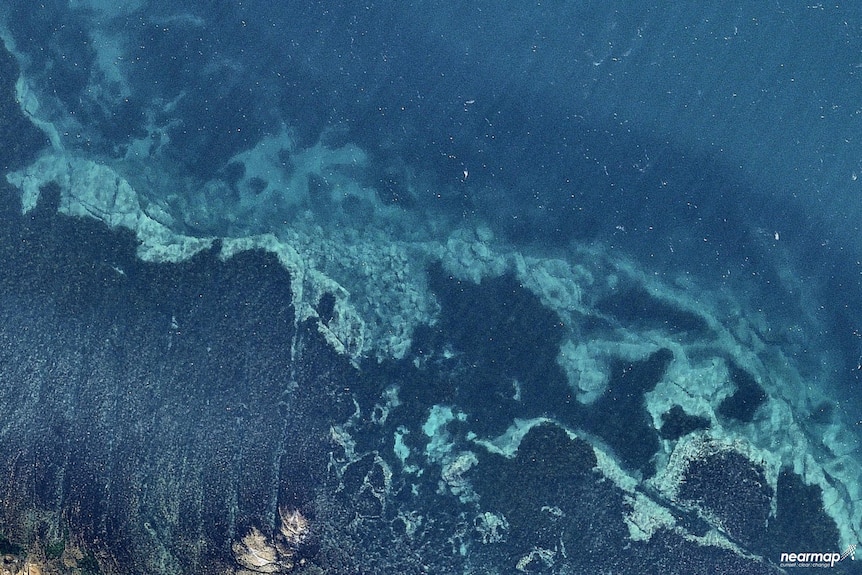 Satellite photo of a coastal reef with white patches indicating urchin barren