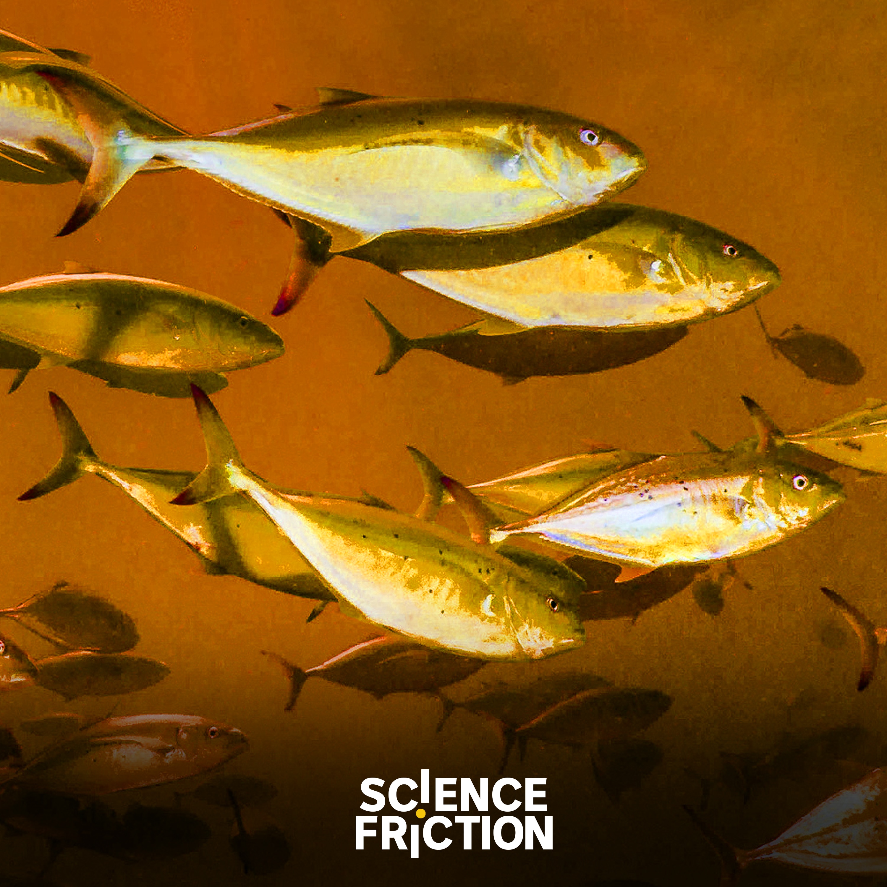 01 | Outbreaks: The aquarium illness