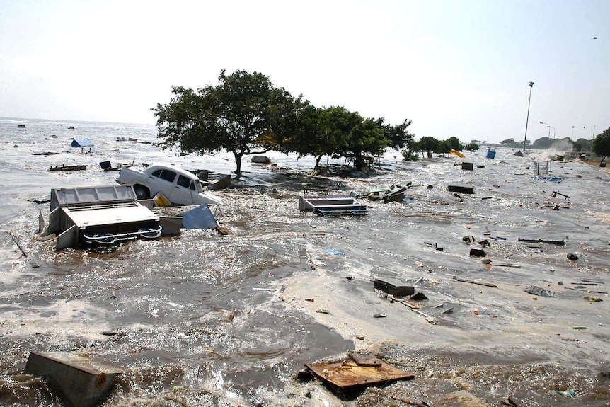 Tsunami hits Chennai