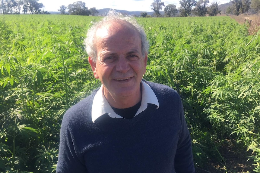 Man standing in a field of crops