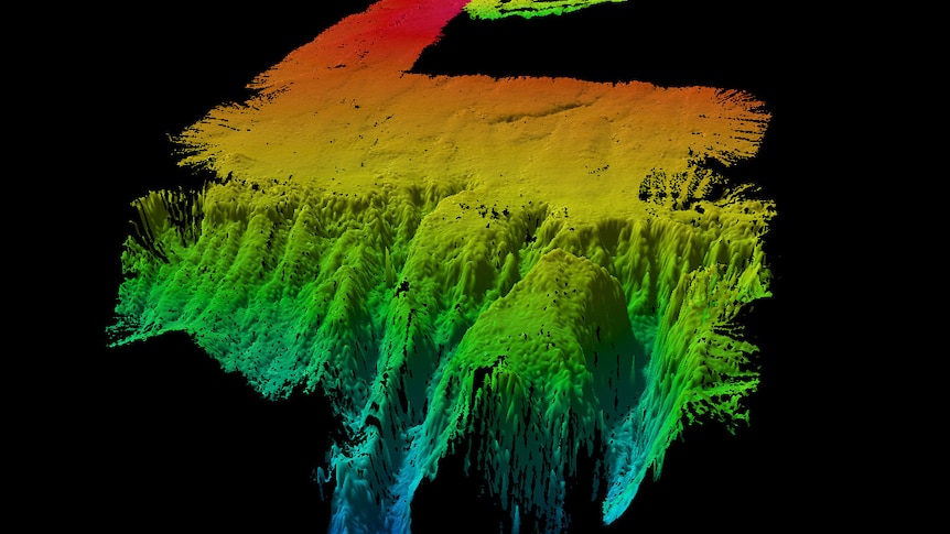 The micro-continents were part of the super-continent Gondwana.