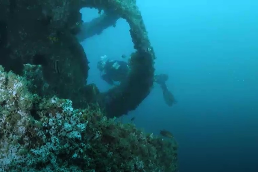 A diver swims through water near an underwater structure.