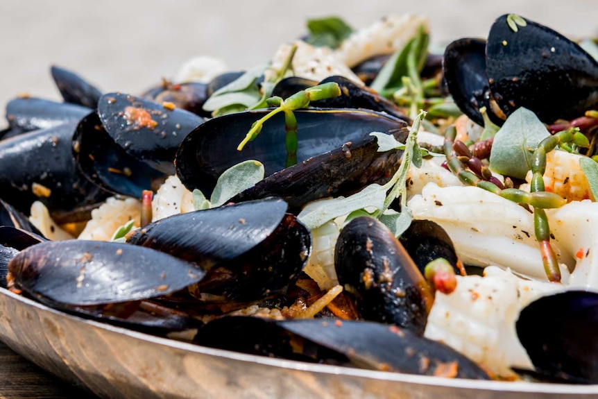 A plate of mussels in the sun.