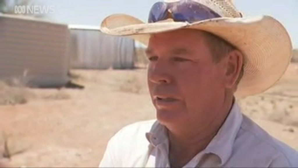 Pastoralist Ted Fogarty Found Phu Tran On His Remote Property Abc News