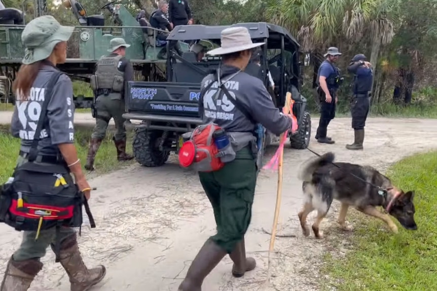 A group of police in wide-brimmed hats and waders walking a sniffer dog into forest