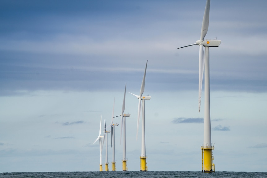 Six Shell-branded wind turbines rising out of the ocean