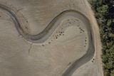 saltflats from the air, showing a small stream winding through mud, with trees growing on the side