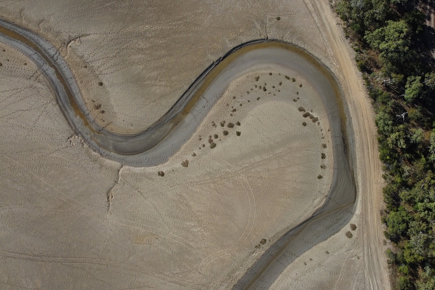 saltflats from the air, showing a small stream winding through mud, with trees growing on the side