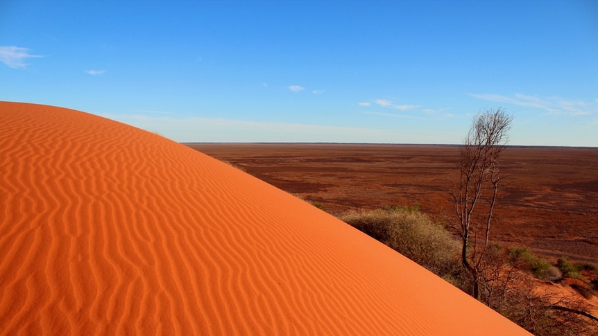 A red desert dune.