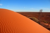 A red desert dune.