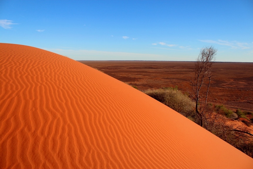 A red desert dune.