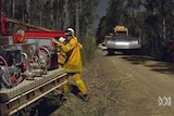 Fifteen crews are fighting a blaze on the east coast of Tasmania. [File photo]