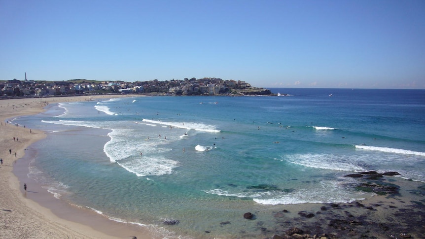 Rips scatter Bondi Beach in Sydney.