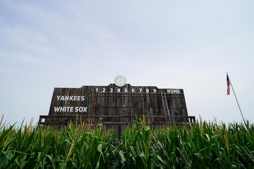 A wooden scoreboard with a field of corn in front of it