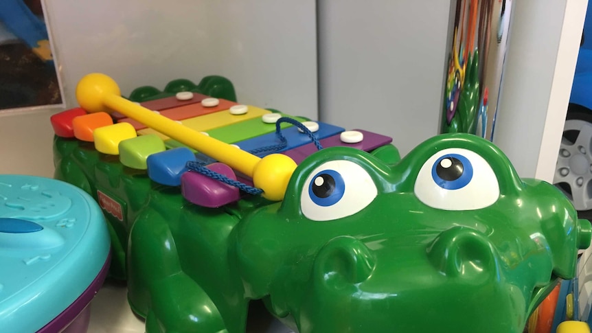 The toy library lends out specially modified toys for children with disabilities