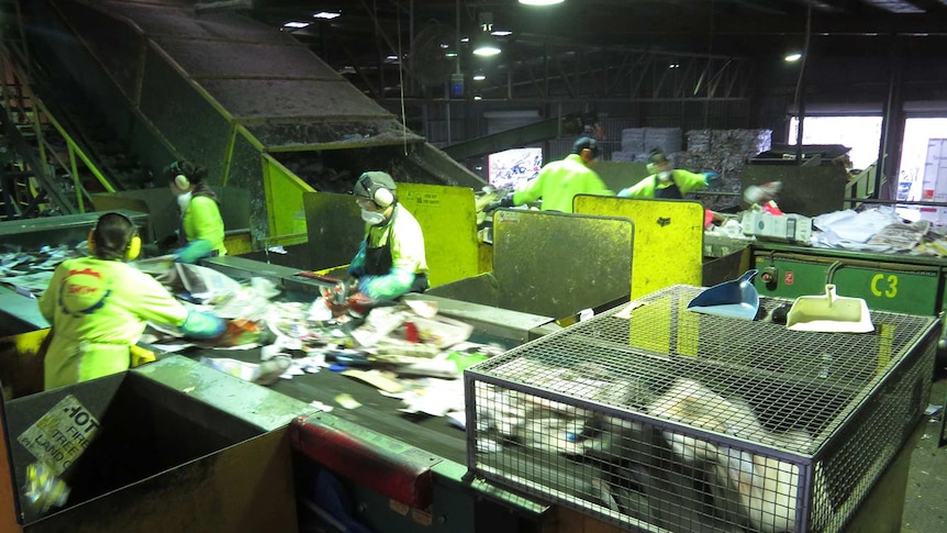 Sorting staff on the line at SKM material recycling facility, Derwent Park, Hobart