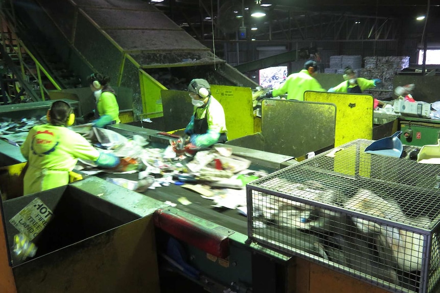 Sorting staff on the line at SKM material recycling facility, Derwent Park, Hobart