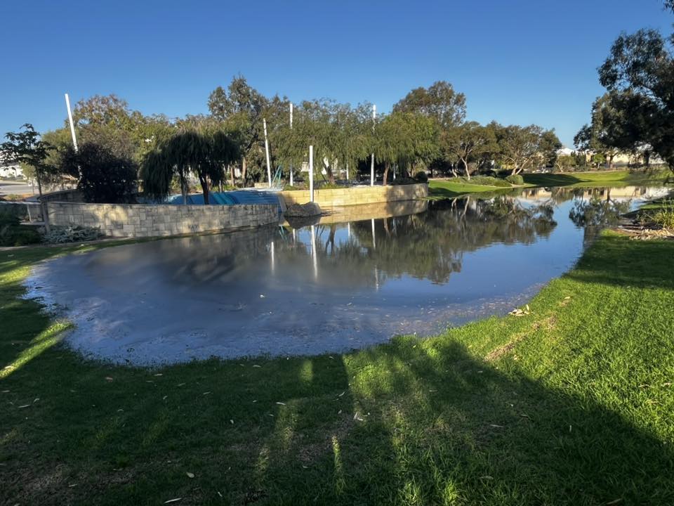Las aguas residuales se desborda en un parque 