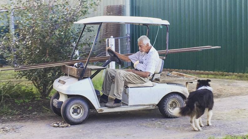 Bob Gosbell sitting at a slumped angle behind the wheel with timber sticking out from one end of the golf cart to the other.