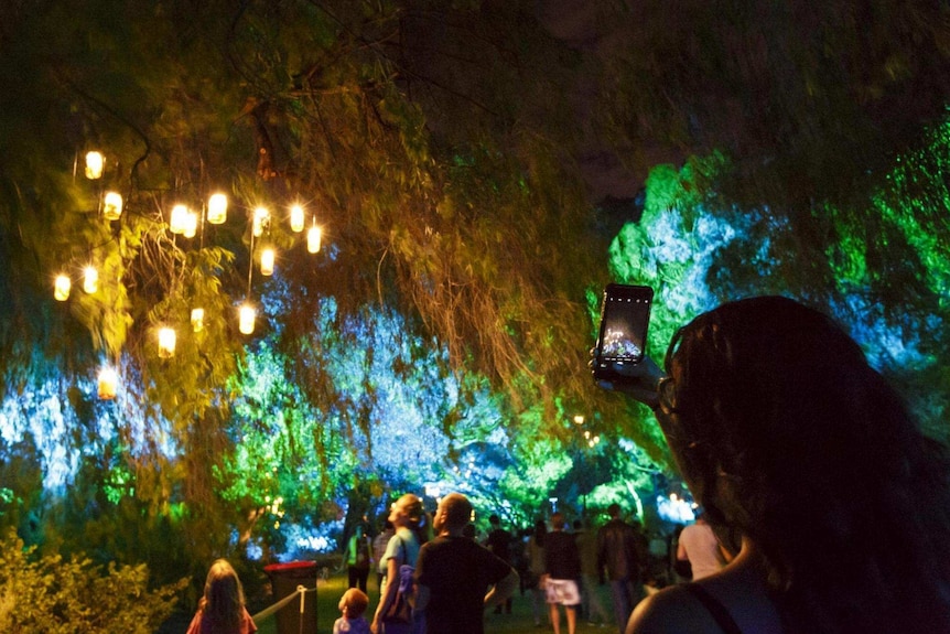 A woman holds up a mobile phone in front of a tree with lanterns in it.