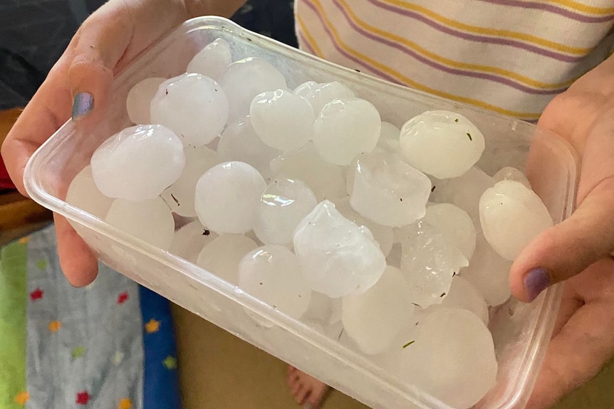 Hail stones collected after storms at Goondiwindi in southern Queensland on December 9, 2021.