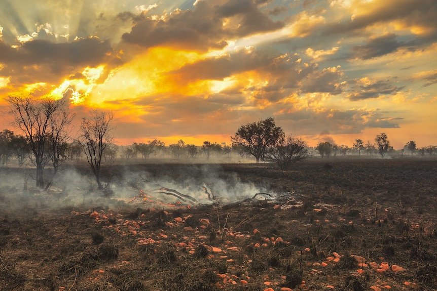 A charred and smoking log sits in the middle of an outback paddock at sunset.