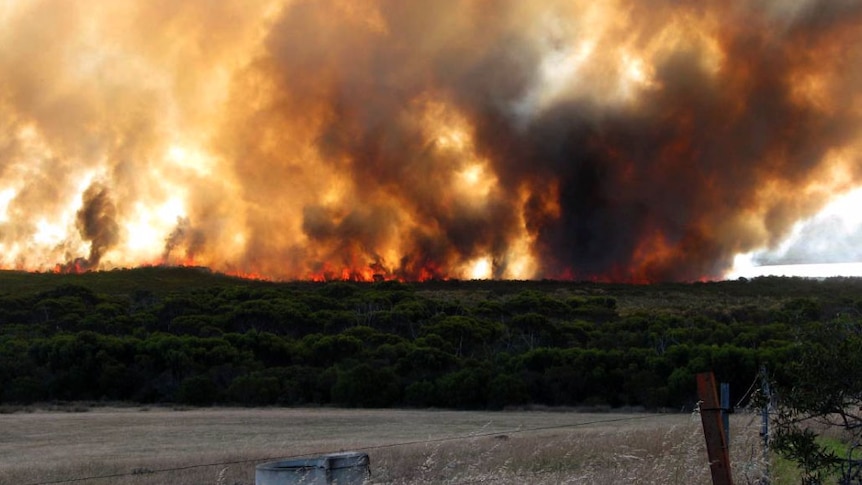 Bushfires burning in Esperance, WA.