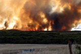 Bushfires burning in Esperance, WA.