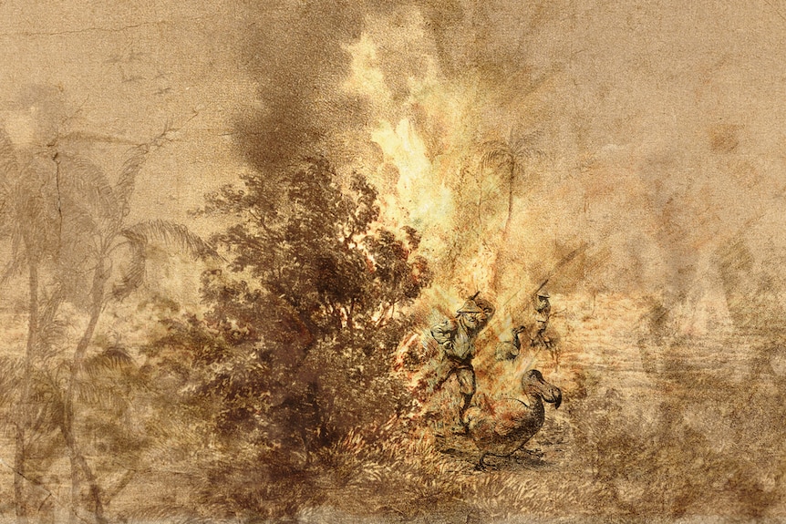 A sepia illustration of burning wilderness, with two men chasing two dodos.