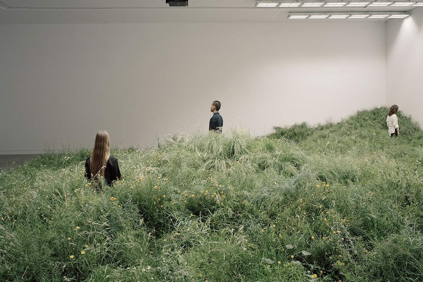 Three viewers move through a wild field of grass and flowers standing in the middle of a white gallery.