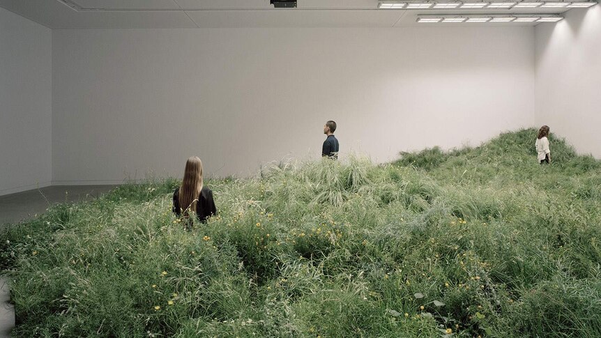 Three viewers move through a wild field of grass and flowers standing in the middle of a white gallery.