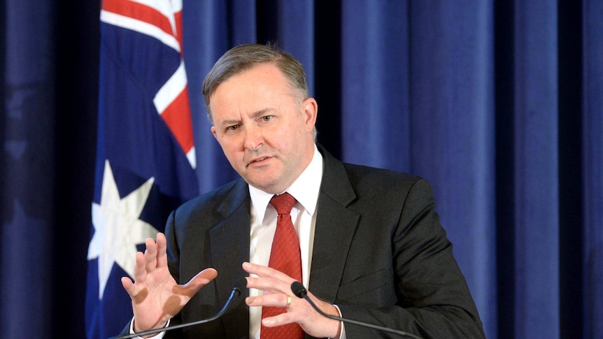 Anthony Albanese stands for Labor leadership