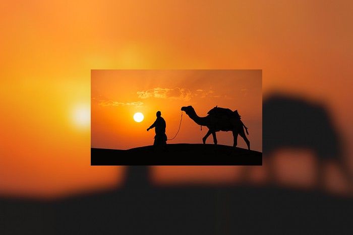 Did the camel break the Bible's back? Nice try, but no - ABC Religion ...