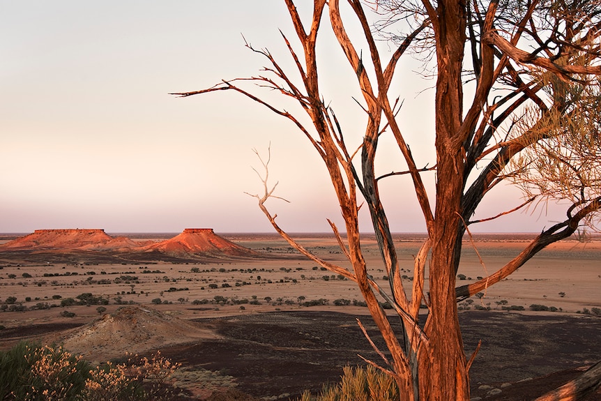 Sunset and Pullen Pullen reserve