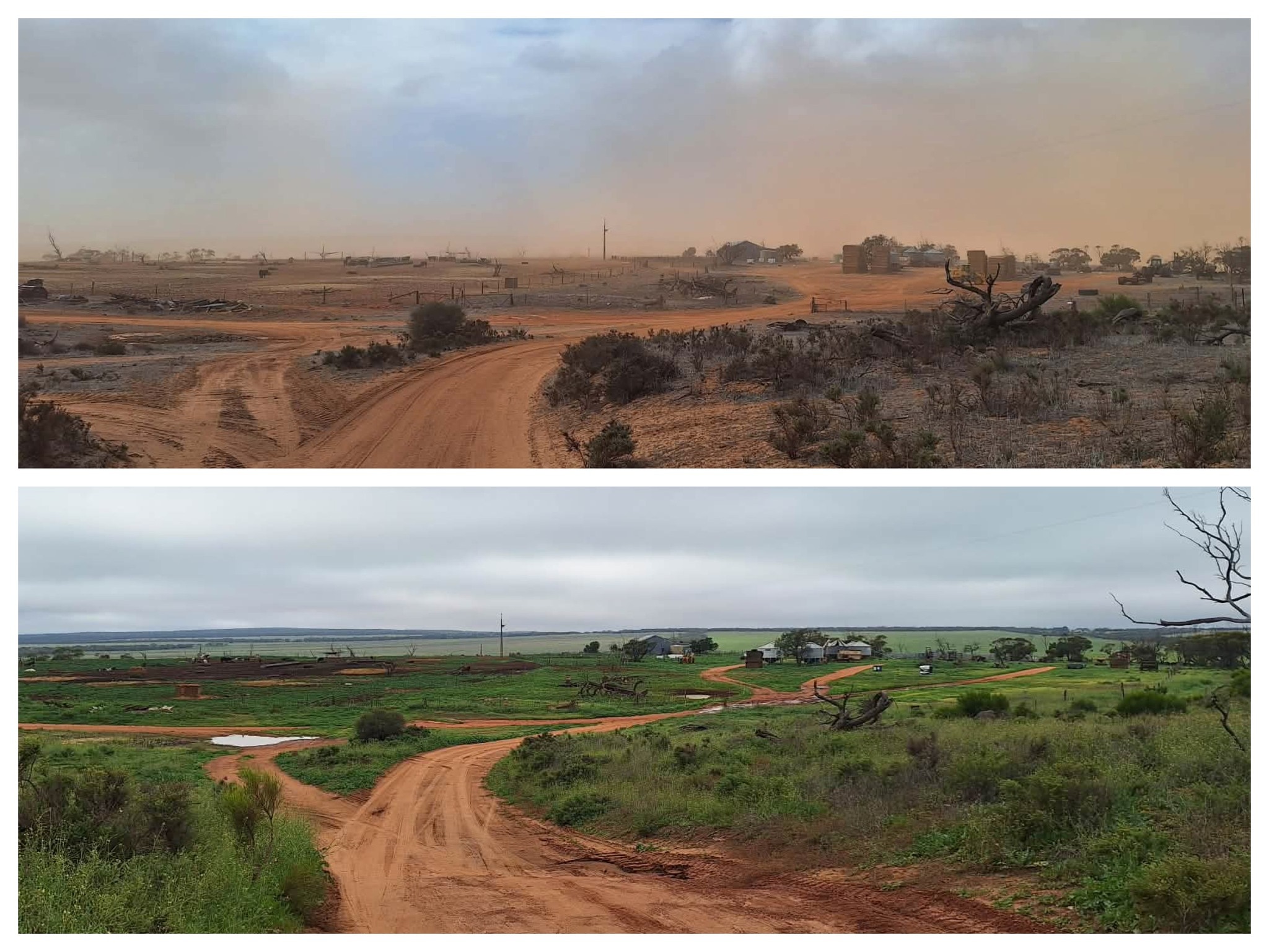 Dos imágenes del mismo lugar, una de un camino seco y polvoriento y la siguiente verde y exuberante.