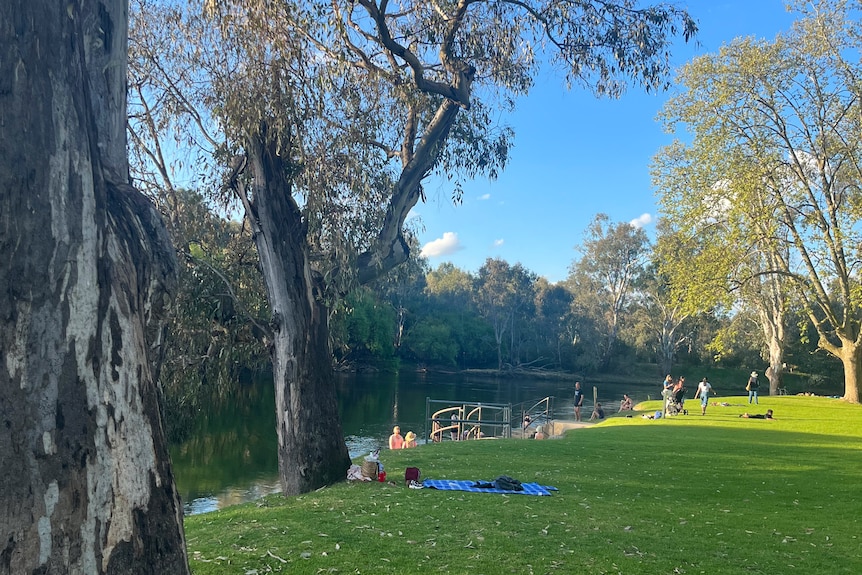 Green parkland next to the Murray river in Albury, where groups of people in the distance are sitting and standing by the river.