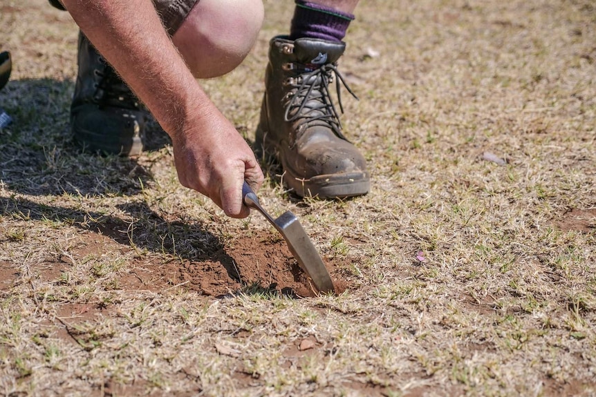 A hand holds a pick that is digging a small hole in some parched ground.