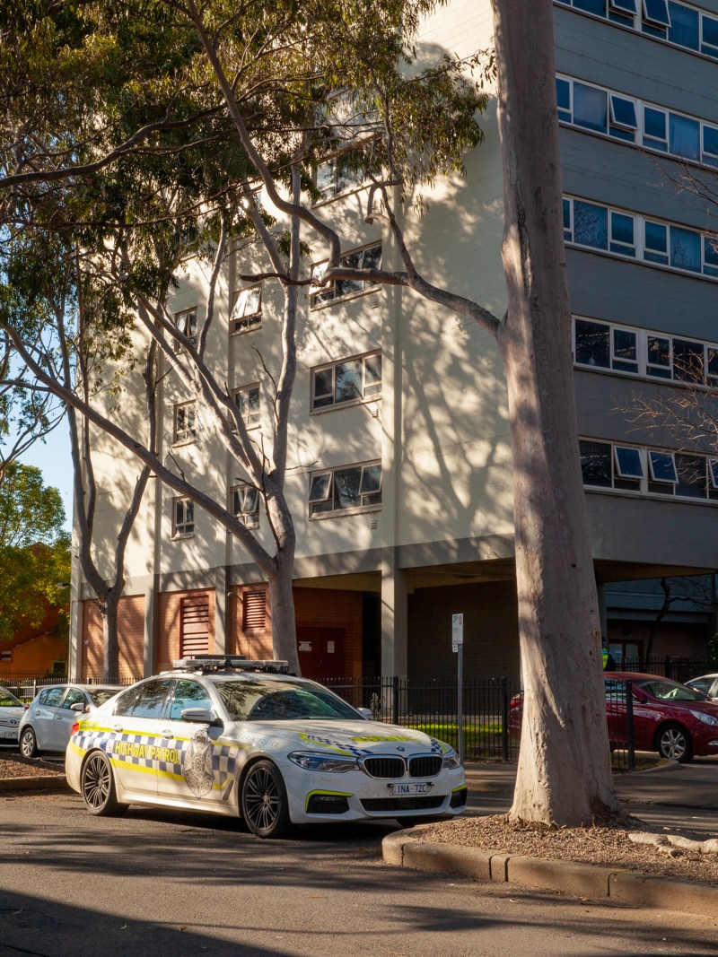 You see a white police vehicle parked between large gum trees with a large public housing tower in the distance.