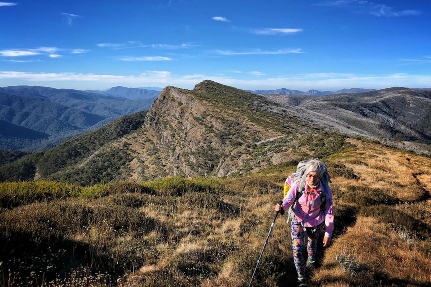 A woman dressed in colourful hiking gear walks along a grassy ridge in an an alpine national park on a sunny day.