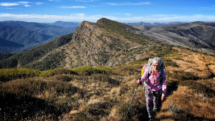 A woman dressed in colourful hiking gear walks along a grassy ridge in an an alpine national park on a sunny day.