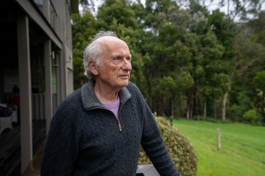 A man looks out from a balcony with forest behind him.