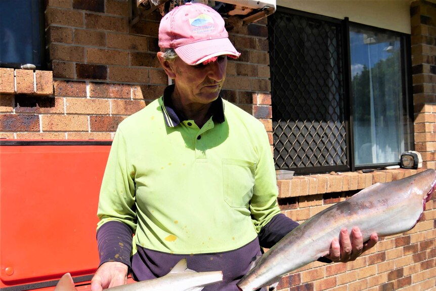 An man dressed in a messy, high vis long sleeved shirt and a faded red cap holds a piece of filleted shark in each hand