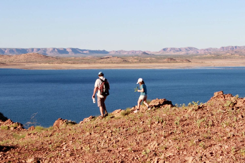 A man and a young girl walk along rocks by the side of Lake Argyle.