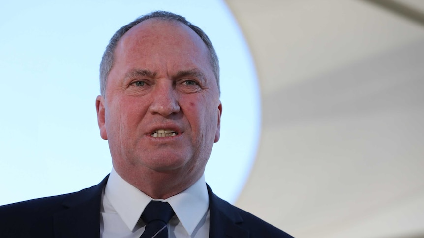 Barnaby Joyce, standing outside wearing a suit, speaks with a shade cloth visible in the background. 