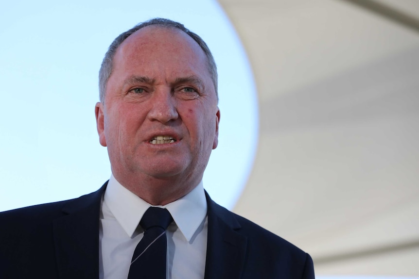 Former deputy prime minister Barnaby Joyce said no one in a pub cares about the Paris Agreement.