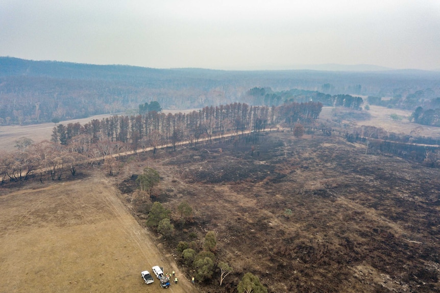 An aerial view of a blackened paddock.