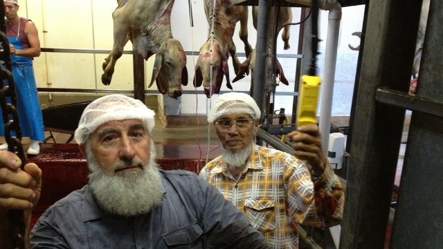 A duty to be kind' in halal slaughter - ABC News
