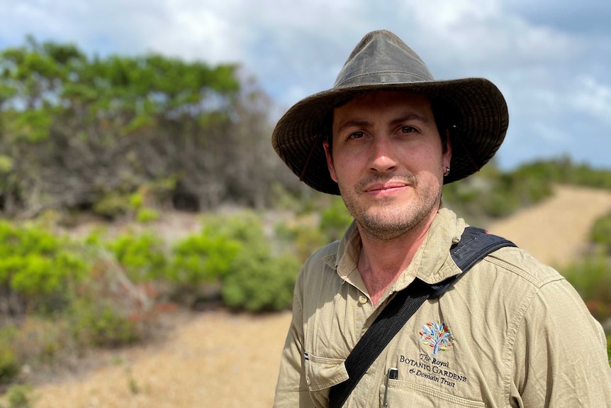 A man wearing a hat and khaki shirt involved with seed collecting