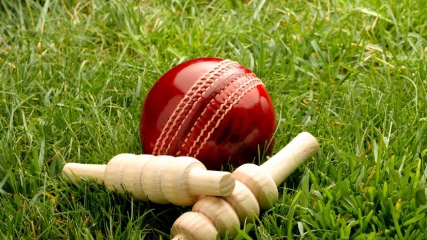 A cricket ball lies in grass, along with some bails.